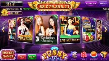 Mobile Gaming Experience with Pussy888 Casino